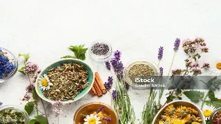 梁朝伟也爱它？揭秘推拿按摩在中国古代名士间的风雅往事 封面